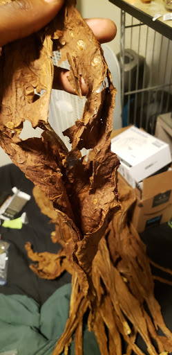 Tobacco Shop «Leaf Only», reviews and photos, 440 Middlefield St, Middletown, CT 06457, USA