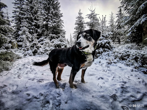 Thomas Rabe unter Seesen, Niedersachsen