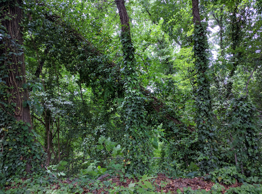 Museum «Discovery Place Nature», reviews and photos, 1658 Sterling Rd, Charlotte, NC 28209, USA