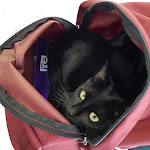 Photo n° 1 de l'avis de Chantal.A fait le 09/07/2022 à 10:51 pour Clinique Vétérinaire du Causse à Gramat