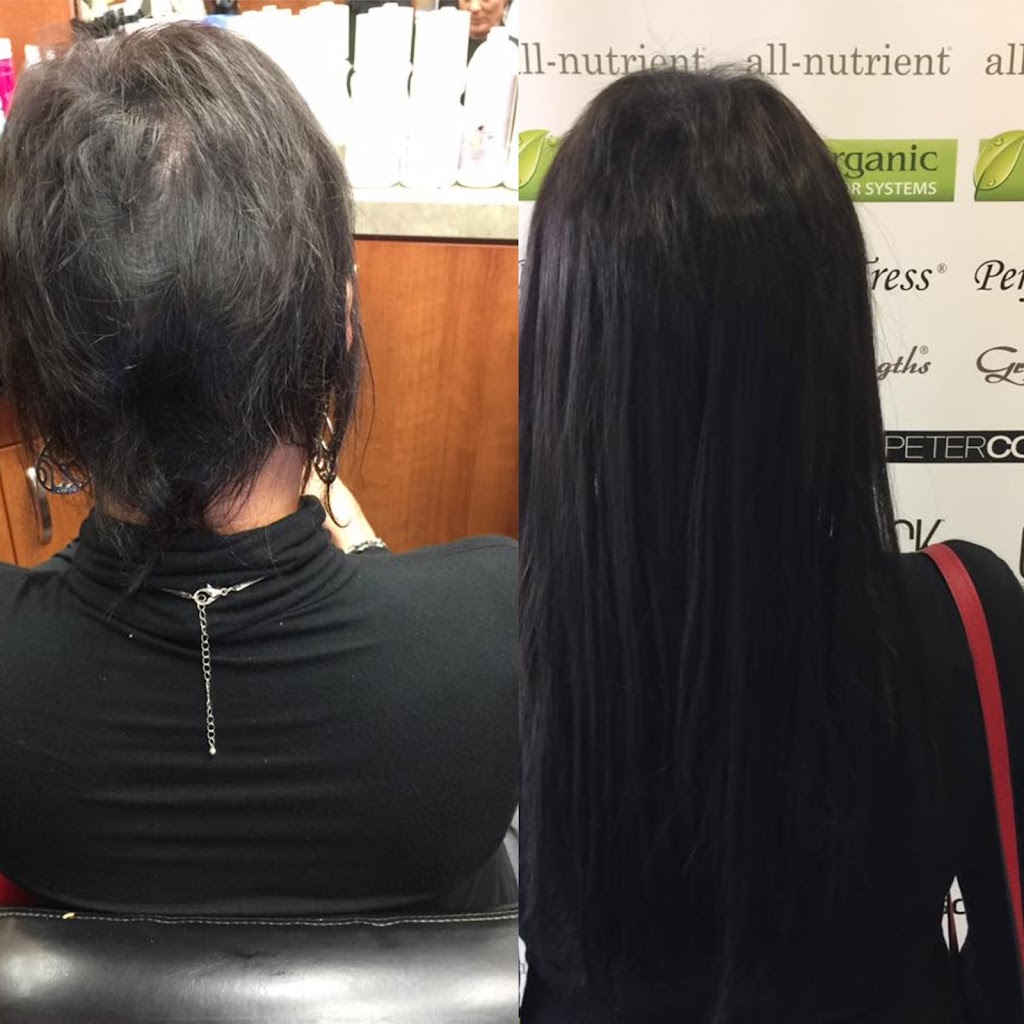 Bell Arte Hair Extensions Salon In Tampa 33618