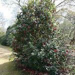 Photo n° 10 de l'avis de David.o fait le 17/04/2019 à 19:14 pour Parc Botanique de Cornouaille à Combrit