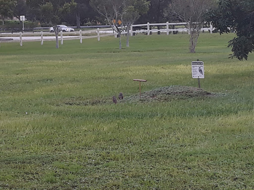 Park «Owl Park», reviews and photos, SW 26th St, Davie, FL 33325, USA