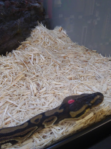 Pet Supply Store «Petco Animal Supplies», reviews and photos, 1820a W Uintah St, Colorado Springs, CO 80904, USA