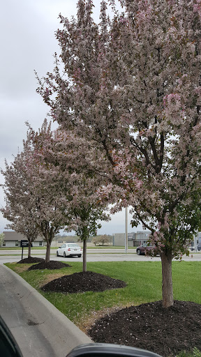 Coffee Shop «Starbucks», reviews and photos, 1423 Papillion Dr, Papillion, NE 68046, USA