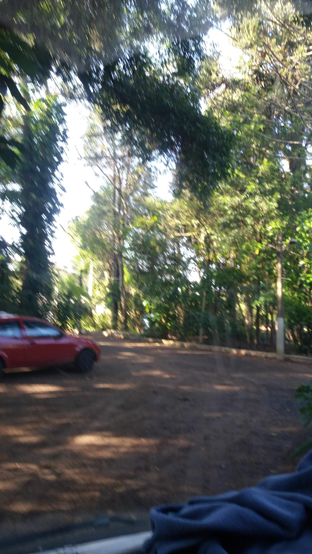 Horto Florestal Chico Mendes