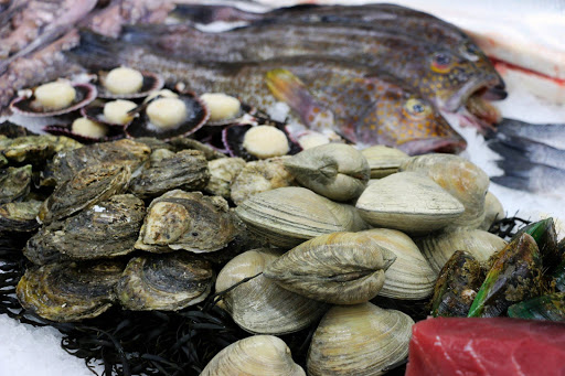 Oyster supplier Chula Vista