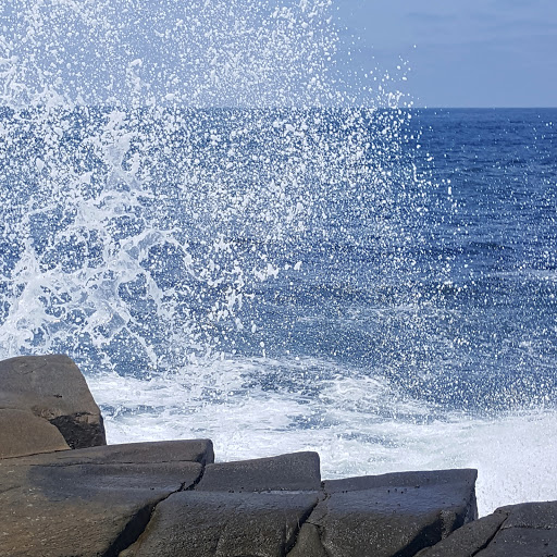 Park «Cuvier Park», reviews and photos, 590 Coast Blvd S, La Jolla, CA 92037, USA