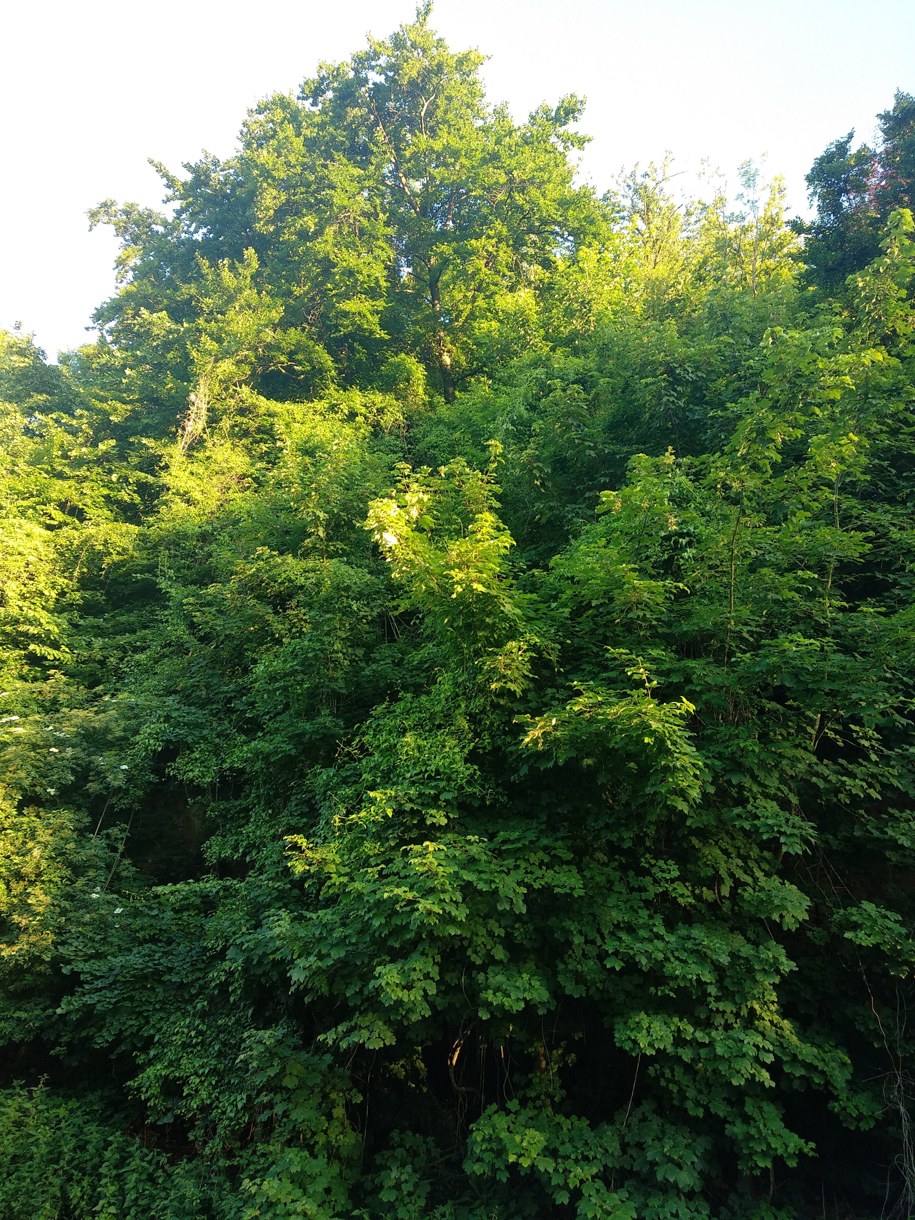 Photo n° 23 de l'avis de Taras.a fait le 17/06/2019 à 05:19