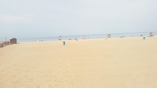 State Park «Woodlawn Beach State Park», reviews and photos, 3580 Lakeshore Rd, Blasdell, NY 14219, USA