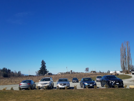 Winery «Bertelsen Winery», reviews and photos, 20598 Starbird Rd, Mt Vernon, WA 98274, USA