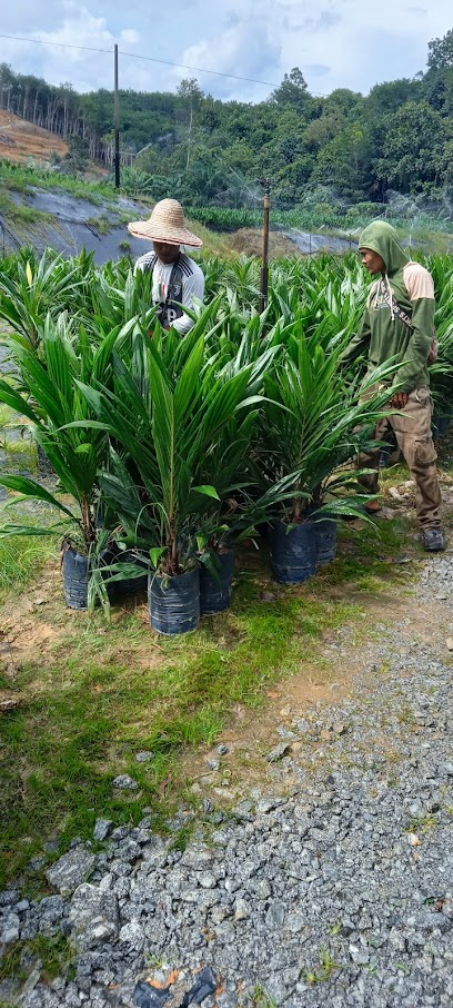 Kuala Kangsar Nursery Sdn Bhd & Liman Plantation Sdn Bhd