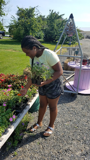 Grocery Store «Grasso Girls Farm Market», reviews and photos, 353 Wolfert Station Rd, Mullica Hill, NJ 08062, USA