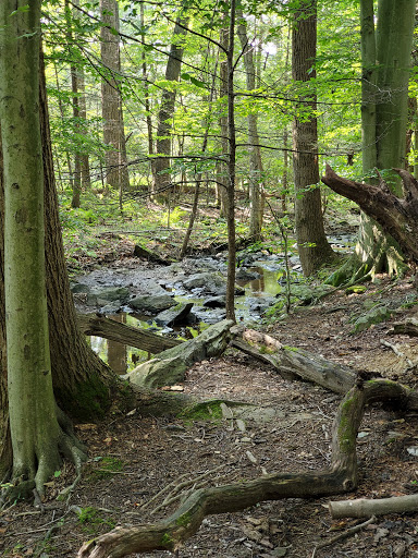 Nature Preserve «Strawberry Hill Nature Preserve», reviews and photos, 1537 Mt Hope Rd, Fairfield, PA 17320, USA
