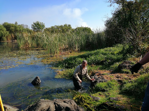 Área Natural Protegida La Mintzita