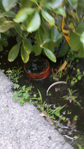 Rooter and Beyond Plumbing Inc image