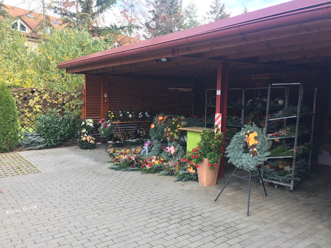 http://www.kvetiny-kaplan.cz/