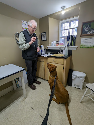 Stonegates Veterinary Hospital image