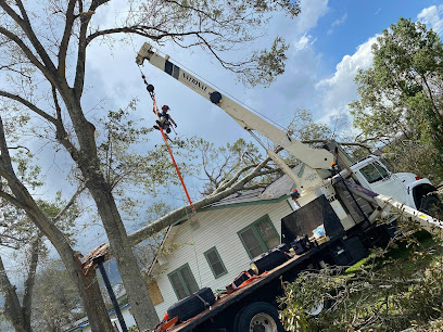 3 Alarm Tree Rescue