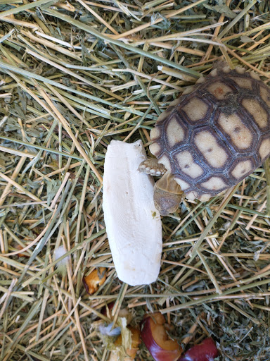 Pet Supply Store «Pet Care Inc.», reviews and photos, 2500 East Cesar E Chavez Avenue, Los Angeles, CA 90033, USA