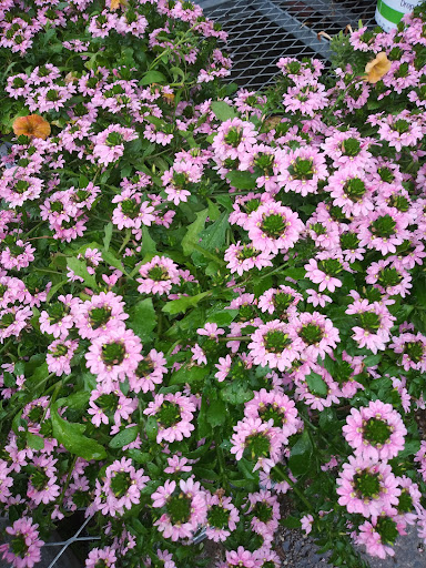 Home Improvement Store «The Home Depot», reviews and photos, 66 Mountain Rd, Glen Burnie, MD 21060, USA