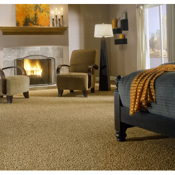 Direct Carpet Cleaners