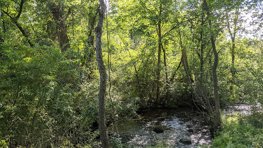 Nature Preserve «Jackson Bog State Nature Preserve», reviews and photos, 7984 Fulton Dr NW, Massillon, OH 44646, USA