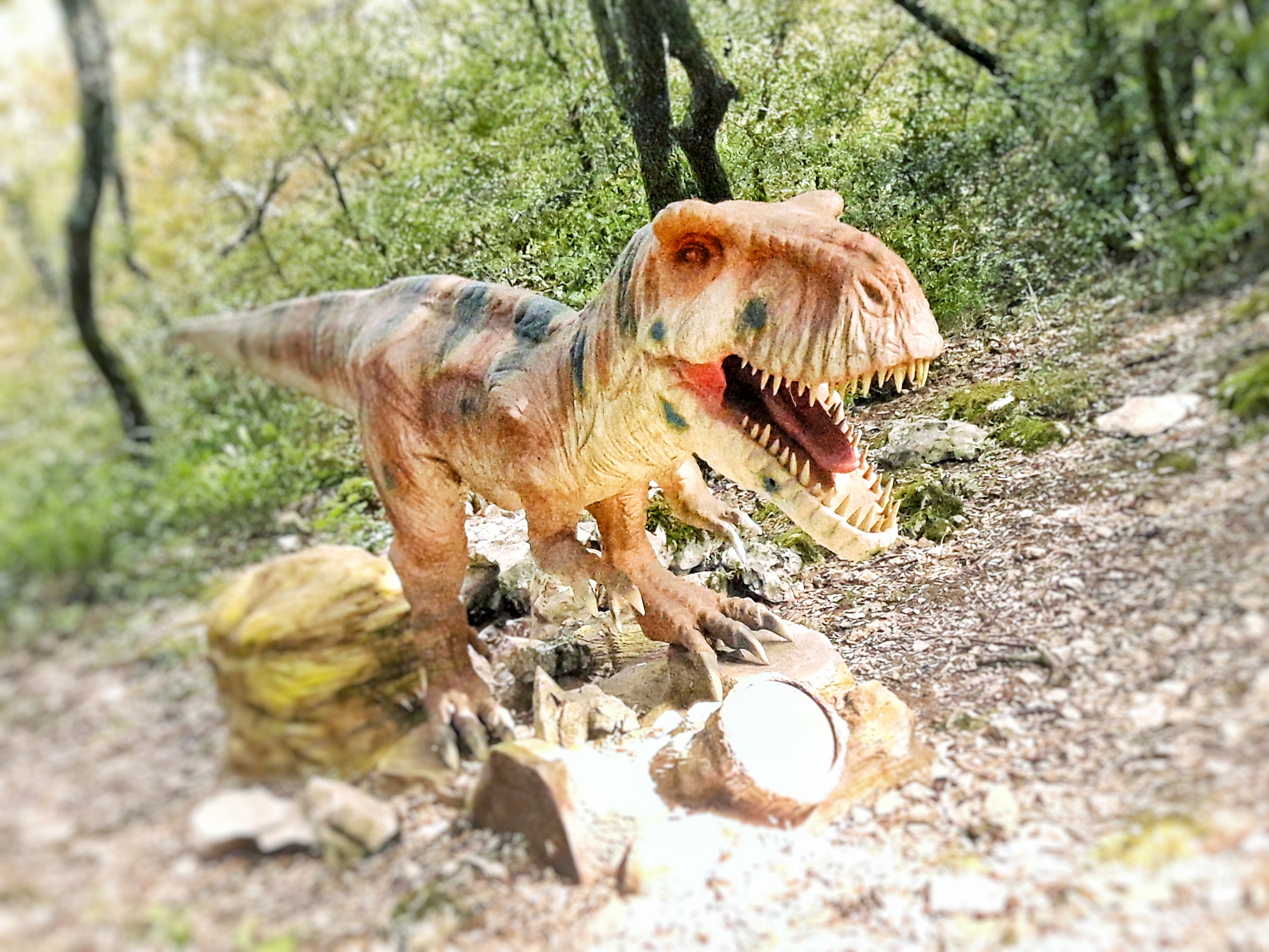 Photo n° 1 de l'avis de maxime.a fait le 24/08/2017 à 12:29