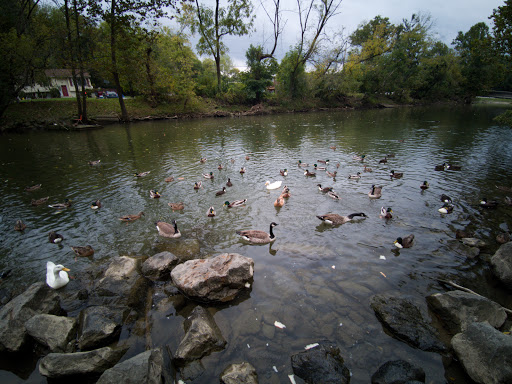 Amusement Park «Bushkill Park», reviews and photos, 2100 Bushkill Park Dr, Easton, PA 18040, USA