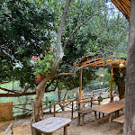 Photo n°10 de l'avis de Valentina.u fait le 27/08/2023 à 12:05 sur le  Ristorante La Vedetta à Rapallo