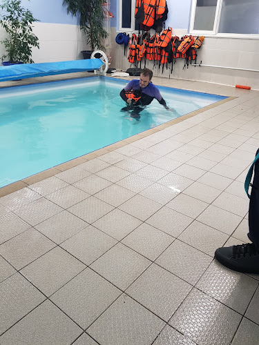 K9 Spa Hydrotherapy Centre - Dog trainer