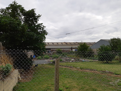 Bagenalstown Community Gardens