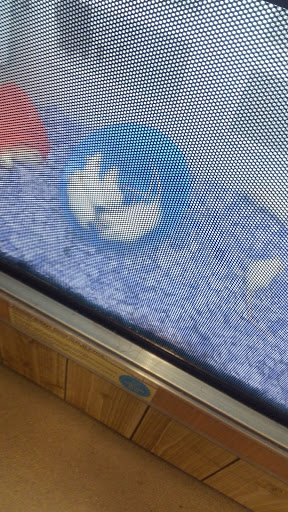 Pet Supply Store «Petco Animal Supplies», reviews and photos, 226 Thornton Drive, Dickson, TN 37055, USA