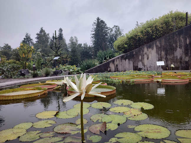 Rezensionen über Tropenhäuser im Botanischen Garten der Universität Zürich in Zürich - Universität