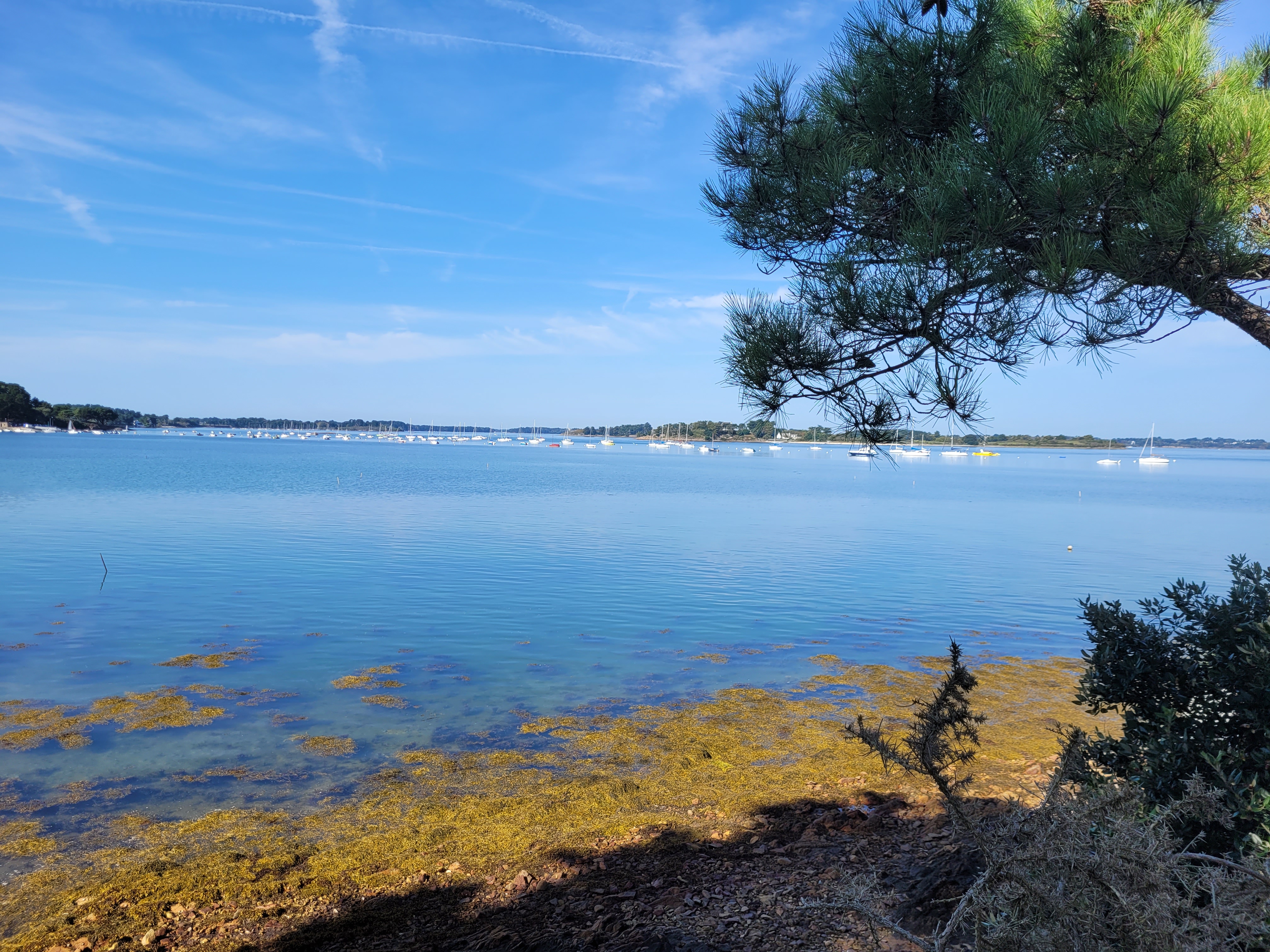 Photo n° 1 de l'avis de Max.a fait le 10/10/2023 à 13:02
