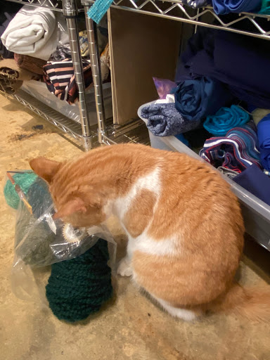 Art Supply Store «Texas Art Asylum», reviews and photos, 1719 Live Oak St, Houston, TX 77003, USA