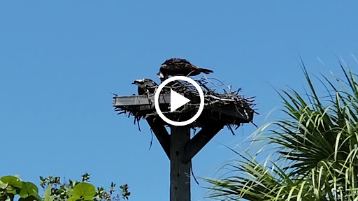 Wildlife Refuge «Ding Darling Wildlife Refuge», reviews and photos, 1 Wildlife Dr, Sanibel, FL 33957, USA