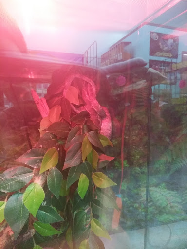 Animal Feed Store «Franklin Hardware & Pet Center», reviews and photos, 1975 Philadelphia Ave, Chambersburg, PA 17201, USA