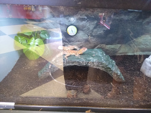 Pet Supply Store «Petco Animal Supplies», reviews and photos, 1410 N Loop 336 W, Conroe, TX 77304, USA