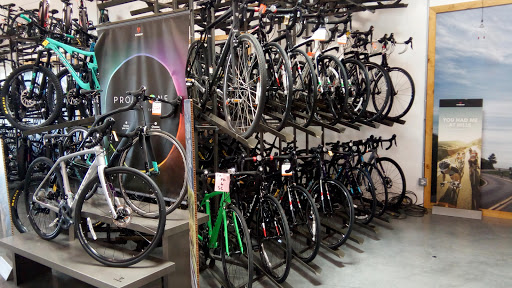 Bicycle Store «Summit Bicycles», reviews and photos, 2046 El Camino Real, Santa Clara, CA 95050, USA