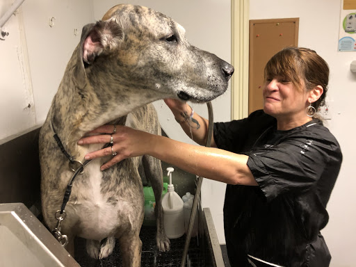 Pet Supply Store «Petport Pet Supply and Grooming Salon», reviews and photos, 40 Main St, Northport, NY 11768, USA