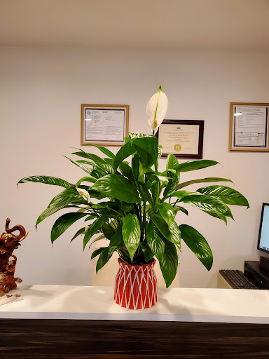 Florist «Always & Forever Flowers», reviews and photos, 2553 County Rd 516, Old Bridge, NJ 08857, USA