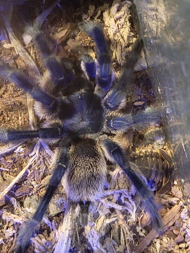 Pet Store «The Pet Works», reviews and photos, 407 4th Ave E, Olympia, WA 98501, USA