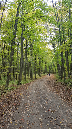 Morgan Arboretum