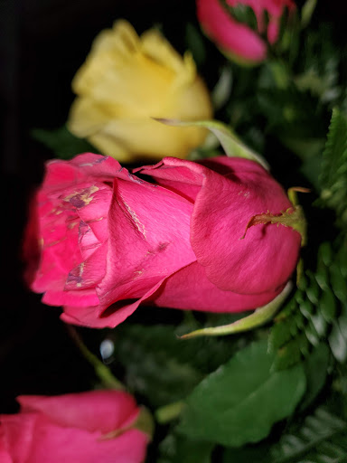 Florist «Amazon Flowers», reviews and photos, 6730 SW 20th Ct, Miramar, FL 33023, USA