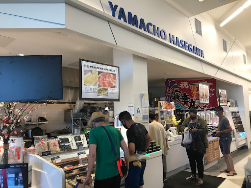 Yamacho Hasegawa image