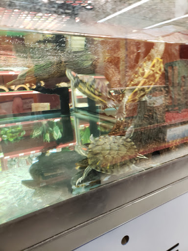 Pet Supply Store «Petco Animal Supplies», reviews and photos, 2131 Pleasant Hill Rd, Duluth, GA 30096, USA