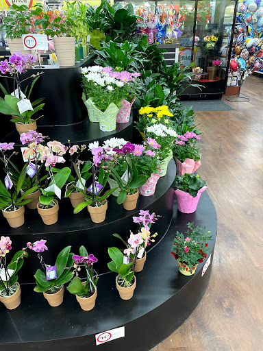 Grocery Store «Winn-Dixie», reviews and photos, 11312 US 49 H, Gulfport, MS 39503, USA