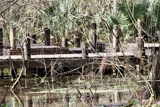 Non-Profit Organization «Houston Audubon Society», reviews and photos, 440 Wilchester Blvd, Houston, TX 77079, USA