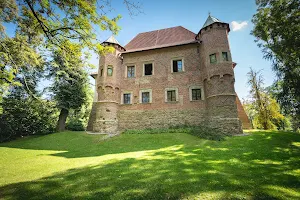Regional Museum in Tarnow museum Castle in Debno image